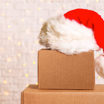 Packed decor with santa hat